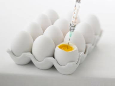 卵子捐赠：药物、程序、潜在风险